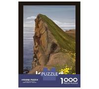 Puzzle Per Adulti Da 1000 Pezzi Rock Mountain near The Sea Puzzle Per Adulti Gioco Pratico Difficile Difficile Regali Unici Per Compleanno E Natale 38x26cm/1000pcs