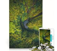 Puzzle per adulti da 1000 pezzi "Veli a cascata", giochi educativi, taglio di precisione, collezione d'artista, belle arti 50x75cm