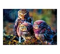 Puzzle per adulti da 300 (38 x 26 cm), gufo misterioso colorato, puzzle ad alta difficoltà, adatto per regali a parenti e amici, decorazione per la casa