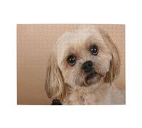 Puzzle per adulti da 500 pezzi con simpatico cane Shitzu - Puzzle in legno per adulti e anziani