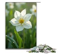 Puzzle per adulti "Le canne bianche come la neve ondeggiano nel vento" da 1000 pezzi puzzle in legno per adulti e bambini dai 12 anni in su giocattolo educativo da 1000 pezzi (75x50 cm).