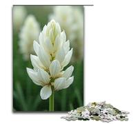 Puzzle per adulti Le canne bianche come la neve ondeggiano nel vento Puzzle in legno da 1000 pezzi per giochi di famiglia 1000 pezzi (75x50 cm)