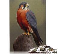Puzzle per adulti Rednecked Falcon dipinto a olio 1000 pezzi Puzzle di carta Puzzle per adulti e gioco impegnativo 38x26 cm/1000 pezzi