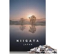 Puzzle per famiglie con campi di riso di Niigata, giochi stimolanti, puzzle in cartone riciclato al 100% per bambini adulti, regalo di compleanno, 1000 pezzi (38x26 cm)