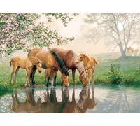 Puzzle per famiglie Famiglia di cavalli 350 pezzi COBBLE HILL