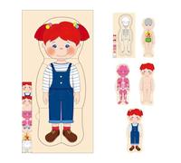 Puzzle per il corpo per bambini, puzzle anatomia, puzzle in legno per bambini, puzzle a strati a partire da 4, 28 pezzi, puzzle a strati, per bambini 3-5 (ragazze)