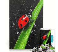 Puzzle per ragazzi 1000 Coccinelle su un filo d'erba giocattoli fai da te decorazioni artistiche per la casa ideale come regalo per tutta la famiglia 38x52cm
