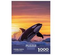 Puzzle Per Ragazzi 1000 Pezzi Orca Leaping Sunset in Icy Waters Puzzle Per Adulti Giocattoli Fai Da Te Analisi E Logica Regali Unici Per Compleanno E Natale 70x50cm/1000pcs