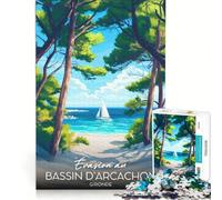 Puzzle per ragazzi da 1000 pezzi Bassin D'Arcachon, giocattolo fai-da-te, interazione genitore-figlio, compleanno e Natale 38x26cm