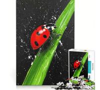 Puzzle per ragazzi da 1000 pezzi: coccinella su un filo d'erba giocattolo educativo migliora la memoria con poster abbinato e foglio di curiosità 38x26cm