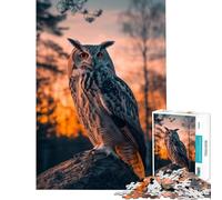 Puzzle per ragazzi da 1000 pezzi con gufo uccello tramonto e animali gioco educativo sfida gioco per famiglie sfida difficile ottimo regalo per gli amanti del gioco (dimensioni 38x26cm)
