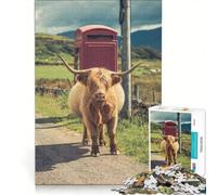 Puzzle per ragazzi da 1000 pezzi con mucca delle Highlands e isola di Mull gioco per famiglie attività divertenti da fare a casa regalo di compleanno regalo di viaggio 50x75cm