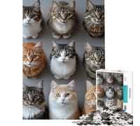 Puzzle per ragazzi da 1000 pezzi con nove gatti che guardano in alto giocattolo educativo per l'apprendimento gioco per famiglie decorazione da parete regalo per donne e uomini (dimensioni 38x26cm)