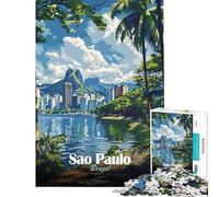 Puzzle per ragazzi da 1000 pezzi con paesaggio urbano di San Paolo gioco stimolante giocattolo per famiglie migliora la memoria regalo di Babbo Natale segreto (dimensioni 38x26cm)