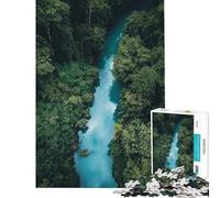 Puzzle per ragazzi da 1000 pezzi con vista aerea di un fiume nella foresta Puzzle per adulti giochi divertenti che migliorano la memoria compleanno e Natale (dimensioni 38x26cm)