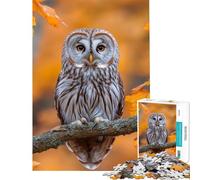 Puzzle per ragazzi da 1000 pezzi gufo appollaiato su un ramo in autunno Giocattolo educativo per l'apprendimento gioco pratico di analisi e logica Idee regalo (dimensioni 50x75cm)