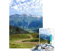 Puzzle per ragazzi da 1000 pezzi paesaggio montano con sentiero tortuoso puzzle per adulti gioco rompicapo taglio di precisione regalo di Natale e compleanno (dimensioni 38x52cm)