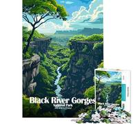 Puzzle per ragazzi da 1000 pezzi Parco Nazionale delle Gole del Fiume Nero Mauritius Giochi educativi giocattoli didattici ottimi regali e giocattoli educativi (dimensioni 38x26cm)