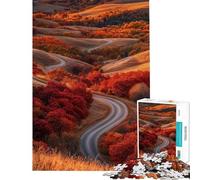 Puzzle per ragazzi da 1000 pezzi strada autunnale tra le colline Puzzle impegnativo da completare ideale compleanno e Natale 38x52cm