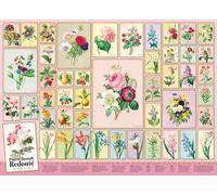 Puzzle Pierre-Joseph Redouté 1000 pezzi di Cobble Hill