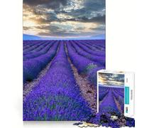 Puzzle Provenza Francia da 1000 pezzi per adolescenti migliora la memoria, rilassante e divertente, con bordi netti, 38x52cm