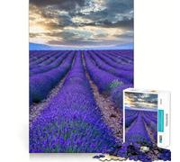 Puzzle Provenza Francia per ragazzi, 1000 pezzi, per migliorare la memoria, per la casa, per il tempo libero, con bordi precisi, 38x26cm