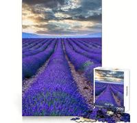 Puzzle Provenza Francia per ragazzi, 1000 pezzi, per migliorare la memoria, per la casa, per il tempo libero, con bordi precisi, 38x26cm