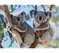 Puzzle Rami koala - Puzzle 5000 Pezzi per Adulti - Puzzles Giochi Rilassamento e Intelligence - Bene Confezionamento in Scatola - Stampa ad Alta Definizione - Puzzles Legno Impegnativi s7h-993