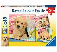 Puzzle Ravensburger 08065 6 cuccioli carini 49 pezzi x 3 da JP