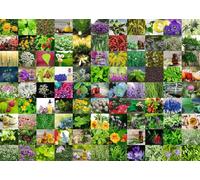 Ravensburger 12000073 - 99 erbe e spezie - puzzle 1000 pezzi - puzzle adulti e ragazzi da 14 anni,