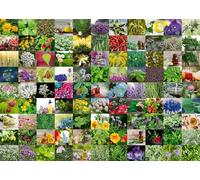 Ravensburger 12000073 - 99 erbe e spezie - puzzle 1000 pezzi - puzzle adulti e ragazzi da 14 anni,