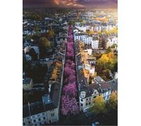 Puzzle Ravensburger 1500 pezzi Bonn, Germania