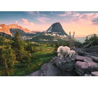 Puzzle RAVENSBURGER Capra alpina con cucciolo 3000 pezzi