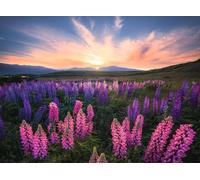 Ravensburger Nature Edition 17492 Lupinen - 500 Teile Puzzle für Erwachsene und