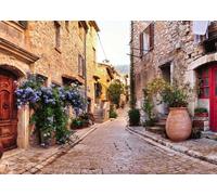 Puzzle Ravensburger Francia 1000 pezzi
