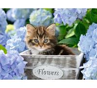 Puzzle RAVENSBURGER Gattino piccolo XXL 300 pezzi