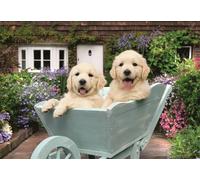 Puzzle cuccioli di Golden Retriever 200 pezzi