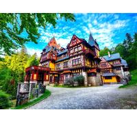 Puzzle residenza reale Sinaia 1000 pezzi