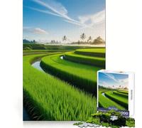 Puzzle Risaia all'alba per adulti, 1000 pezzi, gioco intelligente, tranquillo, con un motivo rilassante da assemblare, (50x75cm)
