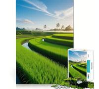 Puzzle Risaia all'alba per adulti, 1000 pezzi, gioco intelligente, tranquillo, con un motivo rilassante da assemblare, (50x75cm)