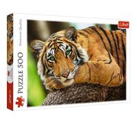Puzzle Ritratto di tigre 500 pezzi