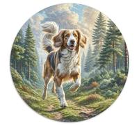 Puzzle Rotondo 1000 Pezzi Welsh Springer Spaniel Rompicapo Per Adulti E Bambini Famiglia Ridotta Pressione Multicolore Perfetto Impossibile Creativo Colorato 1000pcs (67.5x67.5cm)