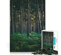 Puzzle "Ruscello nel bosco" da 1000 pezzi per ragazzi, ideale per migliorare la memoria, rilassarsi e divertirsi, con disegni precisi e dettagliati 50x75cm