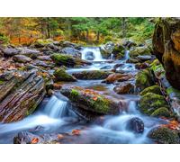 Puzzle Ruscello nel bosco in autunno 1000 pezzi