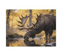 Puzzle rustico in legno con cervo bosco con scatola portaoggetti, puzzle ecologico in legno per il tempo libero, sollievo dallo stress e decorazione, 500 pezzi