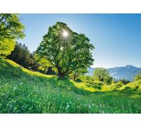Schmidt - Puzzle Acero di monte alla luce del sole - 1000 Pezzi