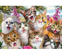 Puzzle Selfie di gatti 500 pezzi SCHMIDT