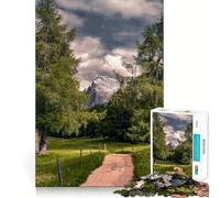 Puzzle "Sentiero di montagna tra gli alberi" per adolescenti, 1000 pezzi, gioco mentale, divertimento per il tempo libero, taglio di alta qualità, regalo pensato con cura (38x52cm)