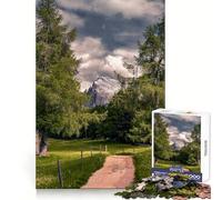 Puzzle "Sentiero di montagna tra gli alberi" per adolescenti, 1000 pezzi, gioco mentale, divertimento per il tempo libero, taglio di alta qualità, regalo pensato con cura (38x52cm)