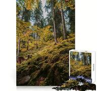 Puzzle "Sentiero nella foresta autunnale" da 1000 pezzi per adolescenti, ideale per sviluppare le capacità mentali, favorire la calma e il relax Un regalo perfetto (38x26cm)